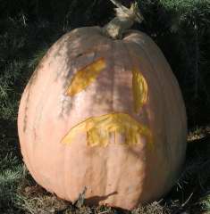 Paul, Nipomo Pumpkin Patch, carving idea